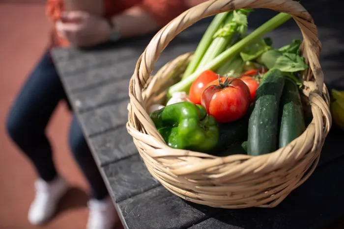 Balcony Vegetable Gardening for Small-Space Households: Essentials