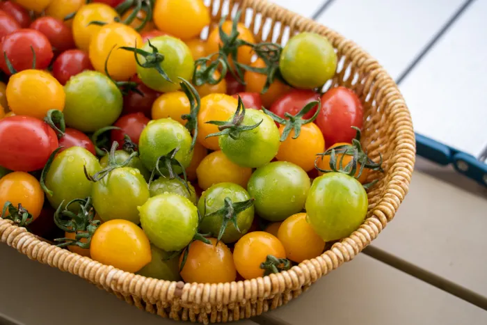 Keeping Balcony Vegetable Gardening Affordable