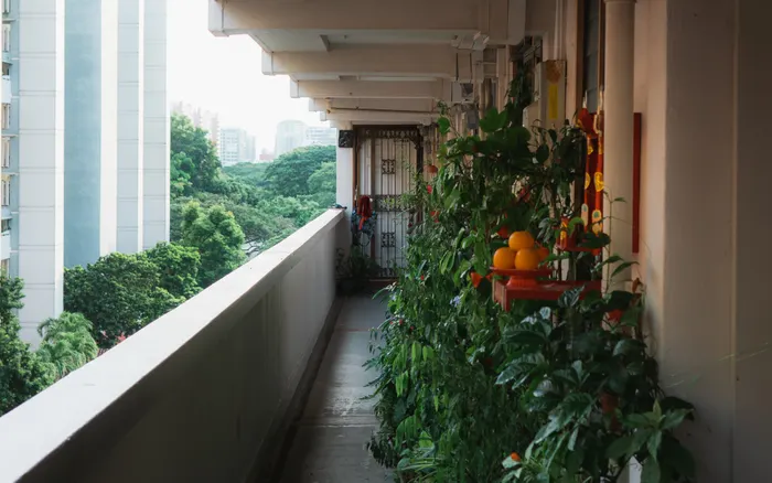 Building a Repeatable Balcony Vegetable Gardening Routine